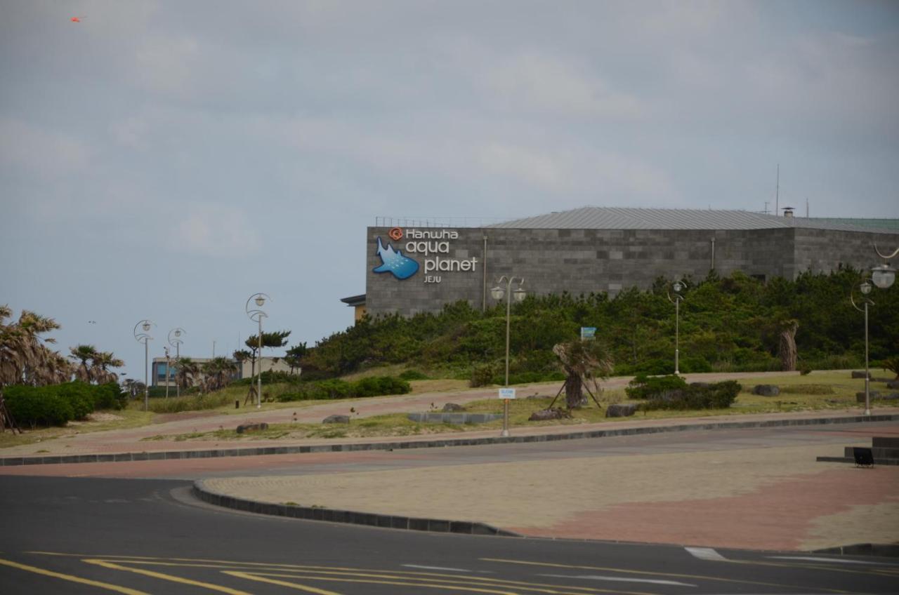 Jeju Stay In Sungsan مدينة سيوجويبو المظهر الخارجي الصورة
